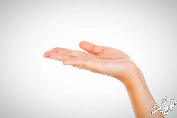 شخصیت شناسی زبان شخصیت شناسی